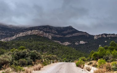 Djebel Serj: Tunus 'un Kalbinde Bir Kireçtaşı Dağı