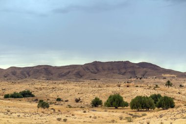 Matmata, Tunus 'ta eşsiz yeraltı konutları olan bir Berber kasabası.