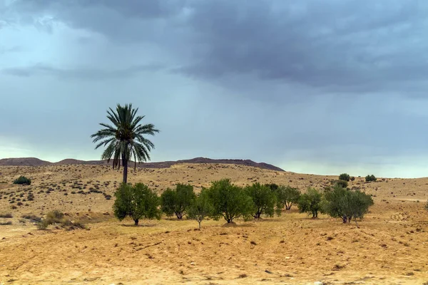 Matmata Uma Cidade Berbere Com Habitações Subterrâneas Únicas Tunísia — Fotografia de Stock