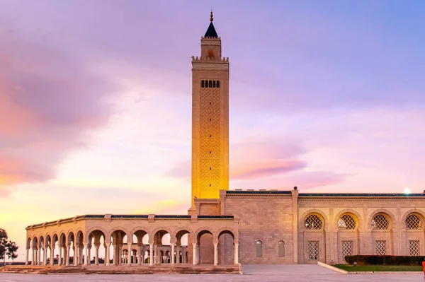 マリク アナス モスク チュニジア カルタゴの歴史的モスク — ストック写真
