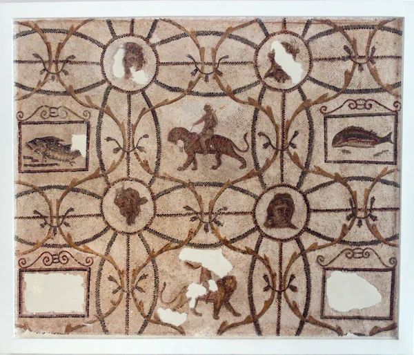 Ψηφιδωτά Μοτίβα Και Αρχαία Ψηφιδωτά Της Τυνησίας Στο Μουσείο Μπάρντο — Φωτογραφία Αρχείου