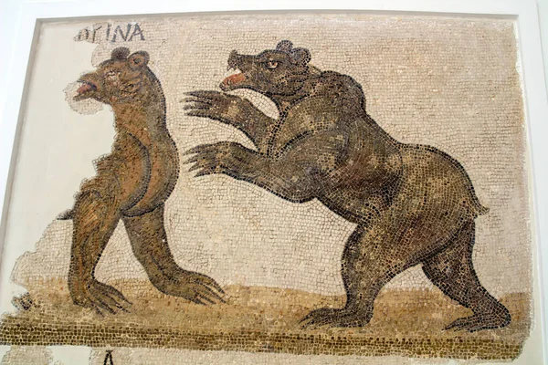 Romeinse Vloer Mozaïek Depicting Atlas Bear Van Het Bardo Museum — Stockfoto