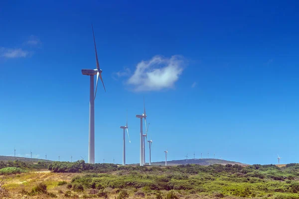チュニジアのEl Haouariaにある風力発電所 — ストック写真
