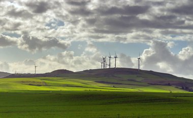 Rades, Tunus 'un güneyinde zengin bir kültür mirası olan canlı bir banliyö.