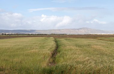 Rades, Tunus 'un güneyinde zengin bir kültür mirası olan canlı bir banliyö.