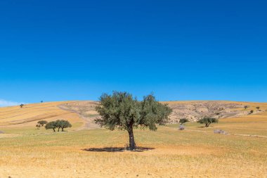Testour - Eşsiz Tarihi ve Mimarisi olan Büyüleyici bir kasaba