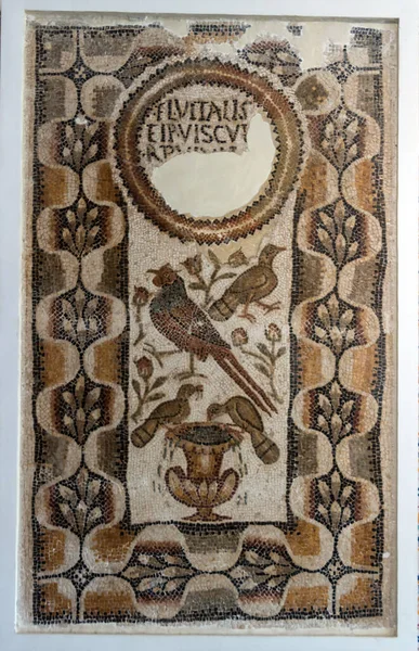 Patrones Mosaicos Los Antiguos Mosaicos Túnez — Foto de Stock