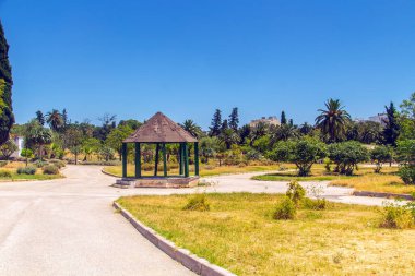 Parkın Yeşillik ve Ağaçları