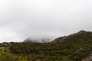 Majestic Djebel Zaghouan: Tunus 'un Çarpıcı Dağı