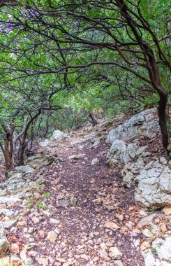 Majestic Djebel Zaghouan: Tunus 'un Çarpıcı Dağı