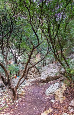 Majestic Djebel Zaghouan: Tunus 'un Çarpıcı Dağı