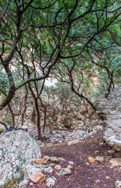 Majestic Djebel Zaghouan: Tunus 'un Çarpıcı Dağı