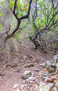 Majestic Djebel Zaghouan: Tunus 'un Çarpıcı Dağı