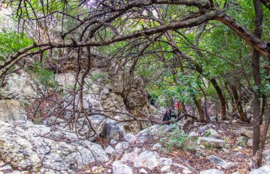 Majestic Djebel Zaghouan: Tunus 'un Çarpıcı Dağı