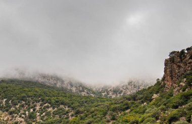 Majestic Djebel Zaghouan: Tunus 'un Çarpıcı Dağı