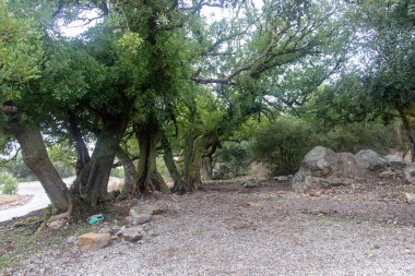 Majestic Djebel Zaghouan: Tunus 'un Çarpıcı Dağı