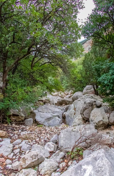 Majestic Djebel Zaghouan: Tunus 'un Çarpıcı Dağı