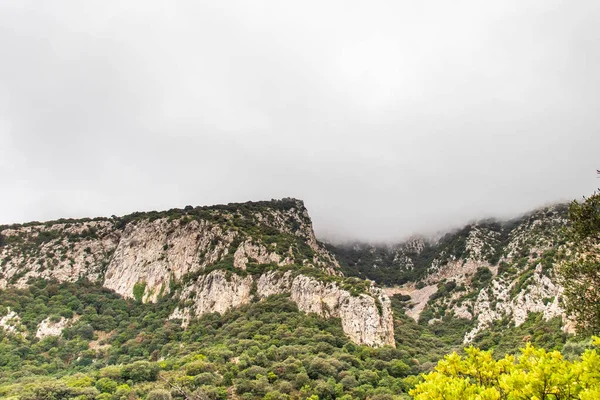 Majestic Djebel Zaghouan: Tunus 'un Çarpıcı Dağı