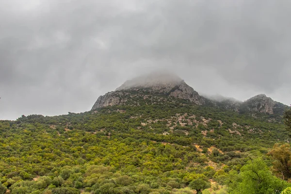 Majestic Djebel Zaghouan Εκπληκτικό Βουνό Της Τυνησίας — Φωτογραφία Αρχείου
