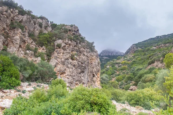 Majestatyczny Djebel Zaghouan Oszałamiająca Góra Tunezji — Zdjęcie stockowe