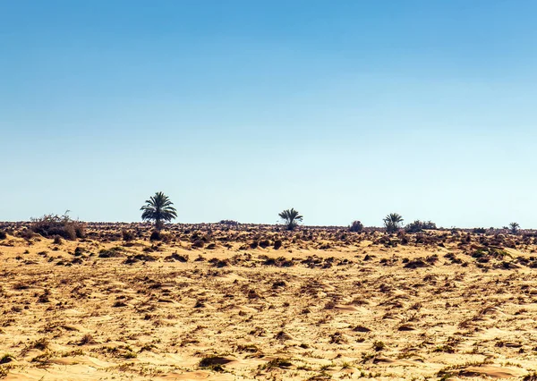 Τεράστια Ερήμωση Τοπίο Της Ερήμου Της Medenine Στη Νότια Τυνησία — Φωτογραφία Αρχείου