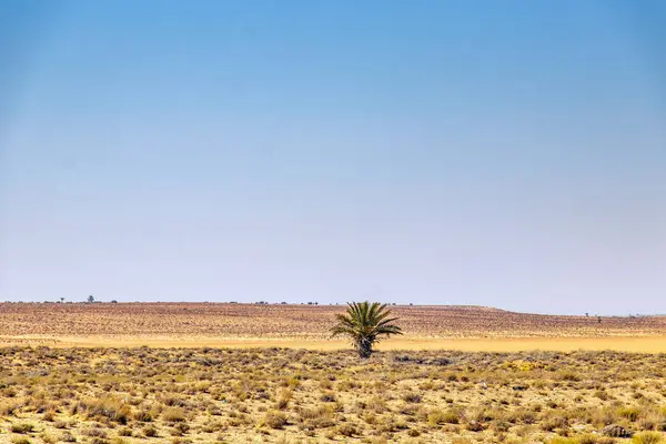 Похмуре Спустошення Пустельний Пейзаж Меденін Півдні Тунісу — стокове фото