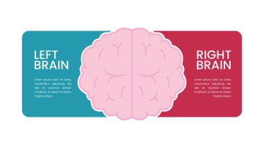 Sol ve sağ insan beyni ile karşılaştırma konsepti.