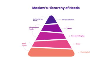 Maslow 'un İhtiyaç Model Bilgisi Hiyerarşisi