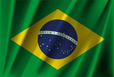 Official national brazil flag vector