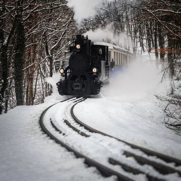 Budapest Ungarn Schöne Winterwaldszene Mit Verschneitem Wald Und Nostalgischem Dampfkesselzug — Stockfoto
