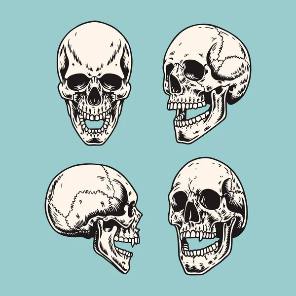 Голова Черепа Векторные Человеческие Кости — стоковый вектор
