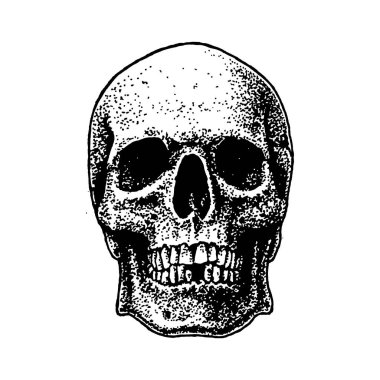 Vintage Kurukafa kafa kafa vektörü insan kemikleri, el çizimi illüstrasyon