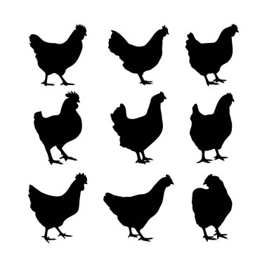 Chicken silhouette or hen silhouettes vector illustration pack clipart