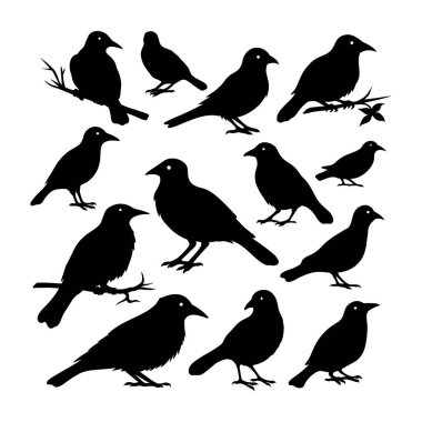 vektör kuşlar siluetleri beyaz arkaplan koleksiyonu