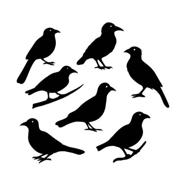 vektör kuşlar siluetleri beyaz arkaplan koleksiyonu