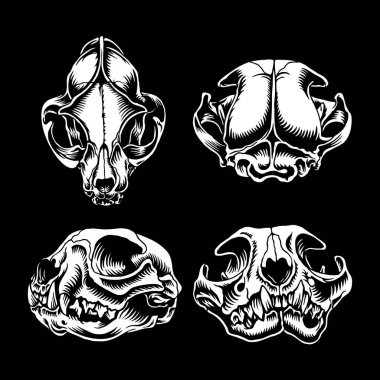 Vektör kedi kafatası kedi silueti vektör çizim sanatı