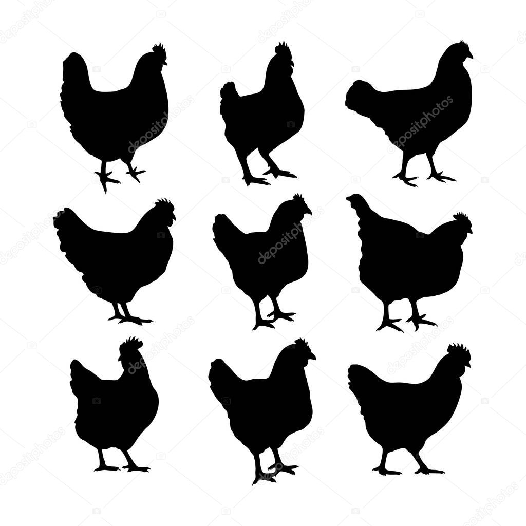 Chicken silhouette or hen silhouettes vector illustration pack