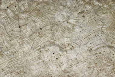 Grunge duvar dokusu, beton duvar yüzeyinin yakın görüntüsü