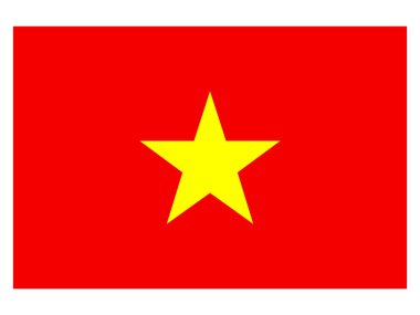 Bu Vietnam bayrağının bir resmi..
