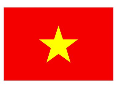 Vietnam bayrağının bir çizimi..