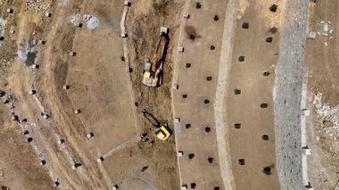 Avokado tarlası manzarası inşa eden çiftçiler