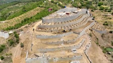 Avokado tarlası manzarası inşa eden çiftçiler