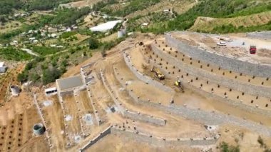 Avokado tarlası manzarası inşa eden çiftçiler