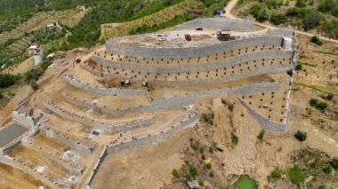 Avokado tarlası manzarası inşa eden çiftçiler