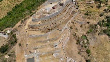 Avokado tarlası manzarası inşa eden çiftçiler