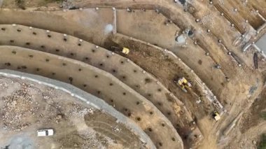 Avokado tarlası manzarası inşa eden çiftçiler