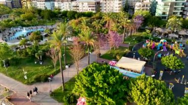 park'ın güzel sokakta
