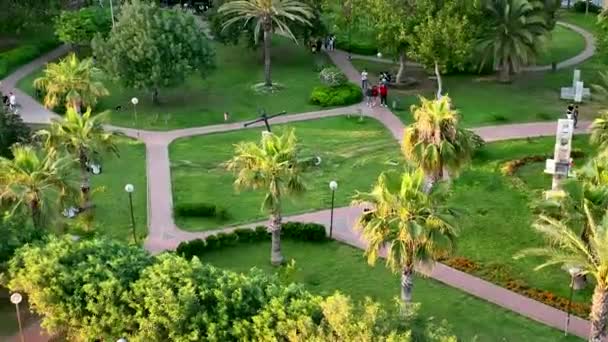 公园里的景观美化 — 图库视频影像
