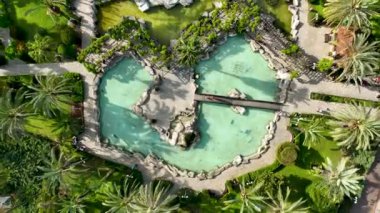 Palmiye ağaçlarının etrafındaki parkta bir çeşme