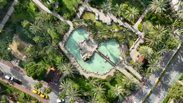 Brunnen Park Rund Die Palmen — Stockvideo